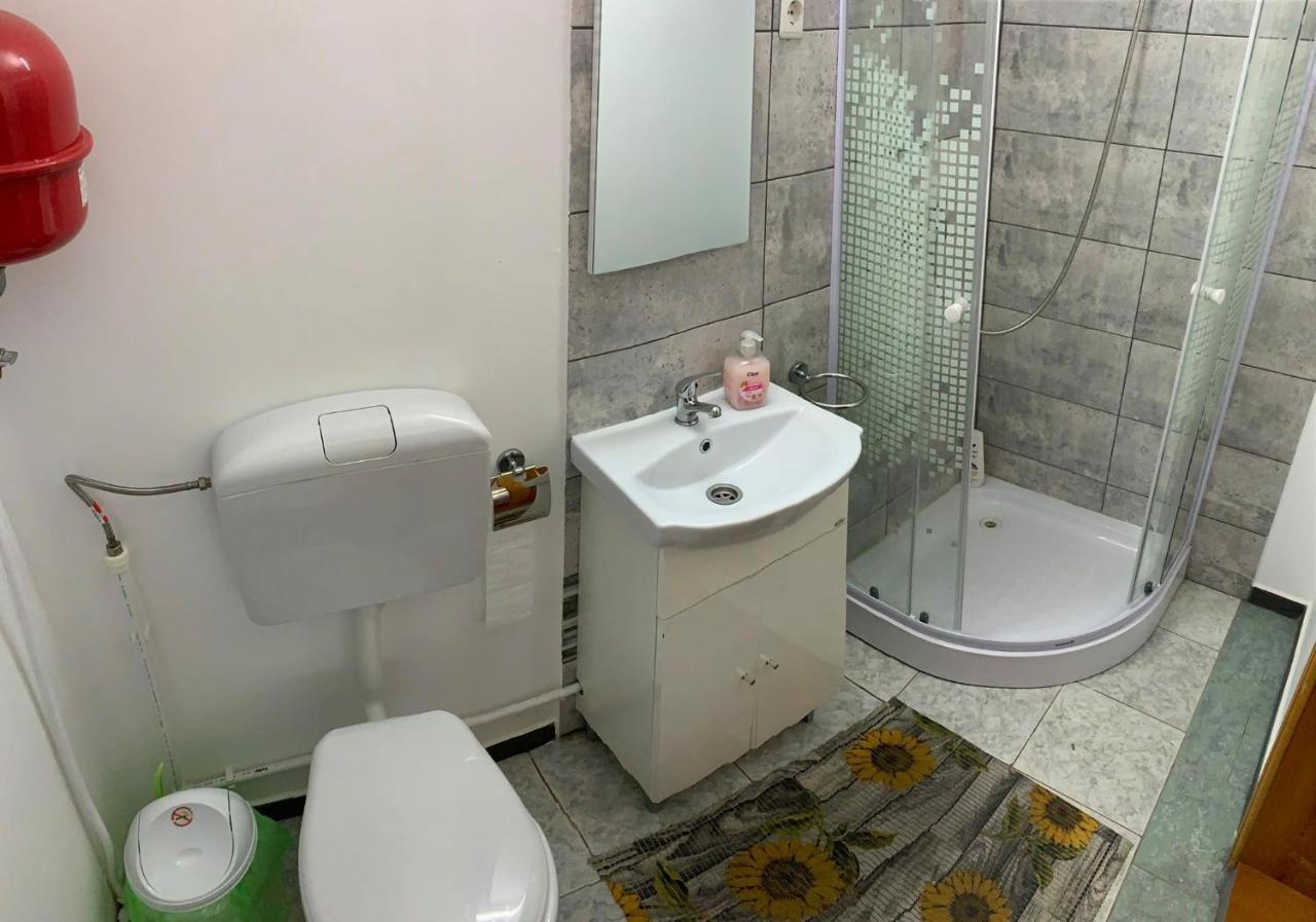 Отель Casa Debora Хацег Экстерьер фото